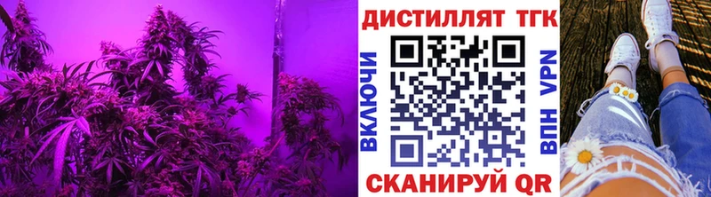 дарнет шоп  Уяр  Дистиллят ТГК гашишное масло 