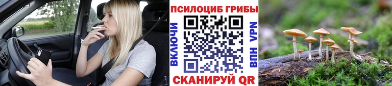 Псилоцибиновые грибы прущие грибы цена omg ссылка Уяр